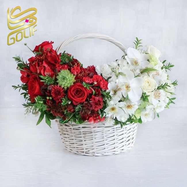 باکس گل تبریک هدیه عاشقانه تولد ارسال رایگان زیبا لاکچری ارسال فوری سریع گل فروشی آنلاین گل فروشی گلیف جعبه گل زیبا لاکچری آنترویم لیلیوم ارکیده