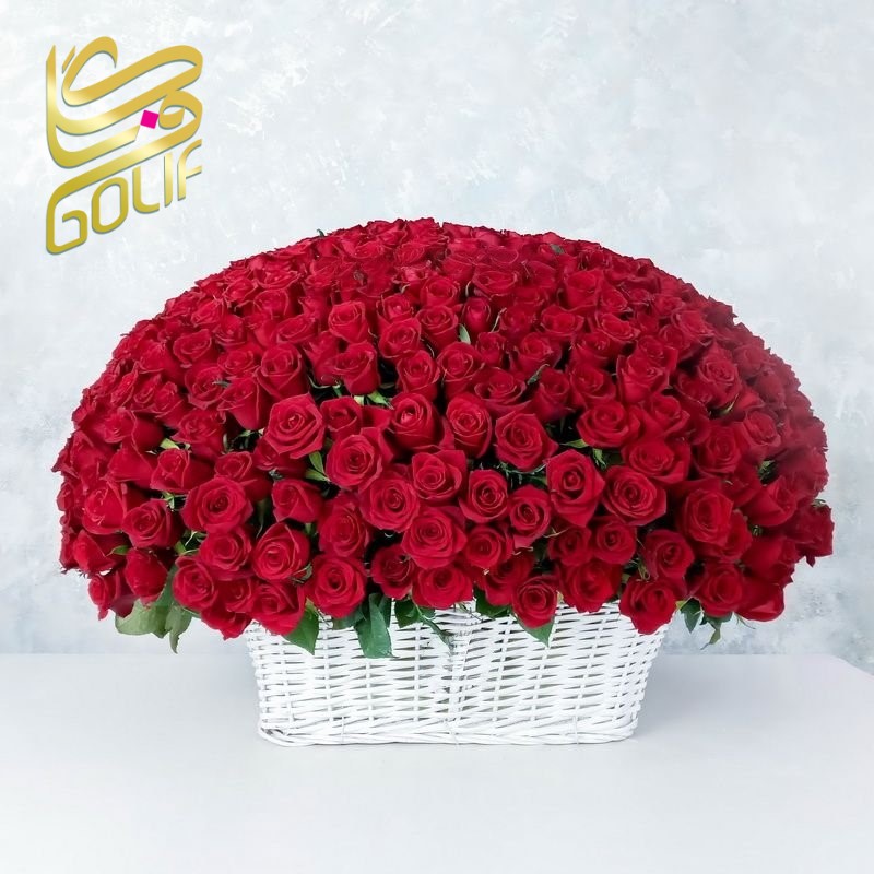 باکس گل تبریک هدیه عاشقانه تولد ارسال رایگان زیبا لاکچری ارسال فوری سریع گل فروشی آنلاین گل فروشی گلیف جعبه گل زیبا لاکچری آنترویم لیلیوم ارکیده