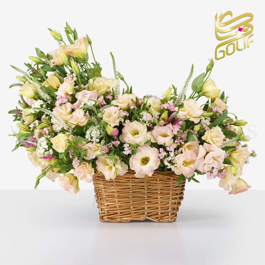 سبد گل عاشقانه هدیه تولد عیادت نوزاد لاکچری زیبا ارسال رایگان زیبا لاکچری ارسال فوری سریع گل فروشی آنلاین گل فروشی گلیف رز میخک آنترویم لیلیوم ارکیده